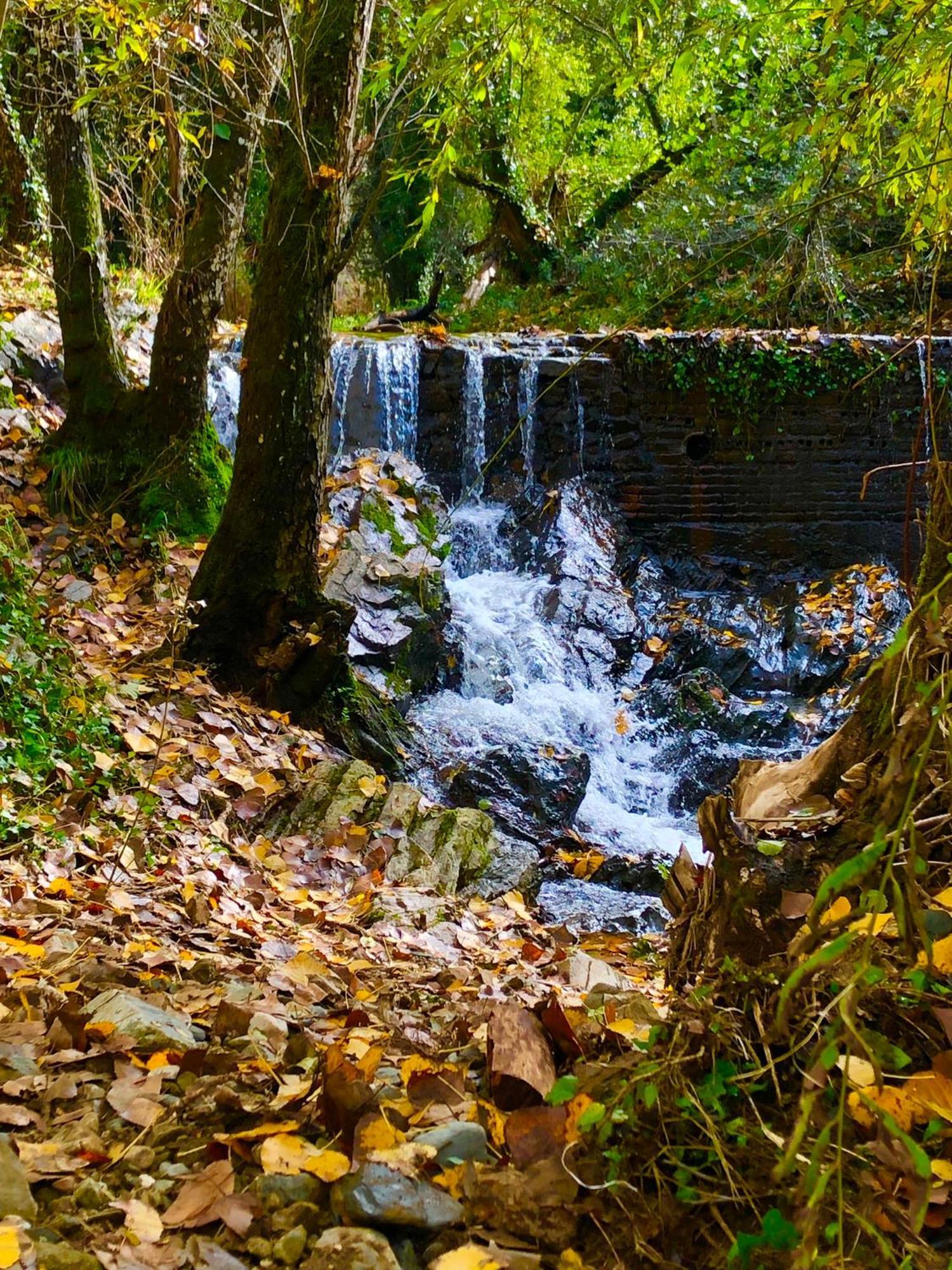 Alojamiento Rural El Castano Fuenteheridos Exterior foto